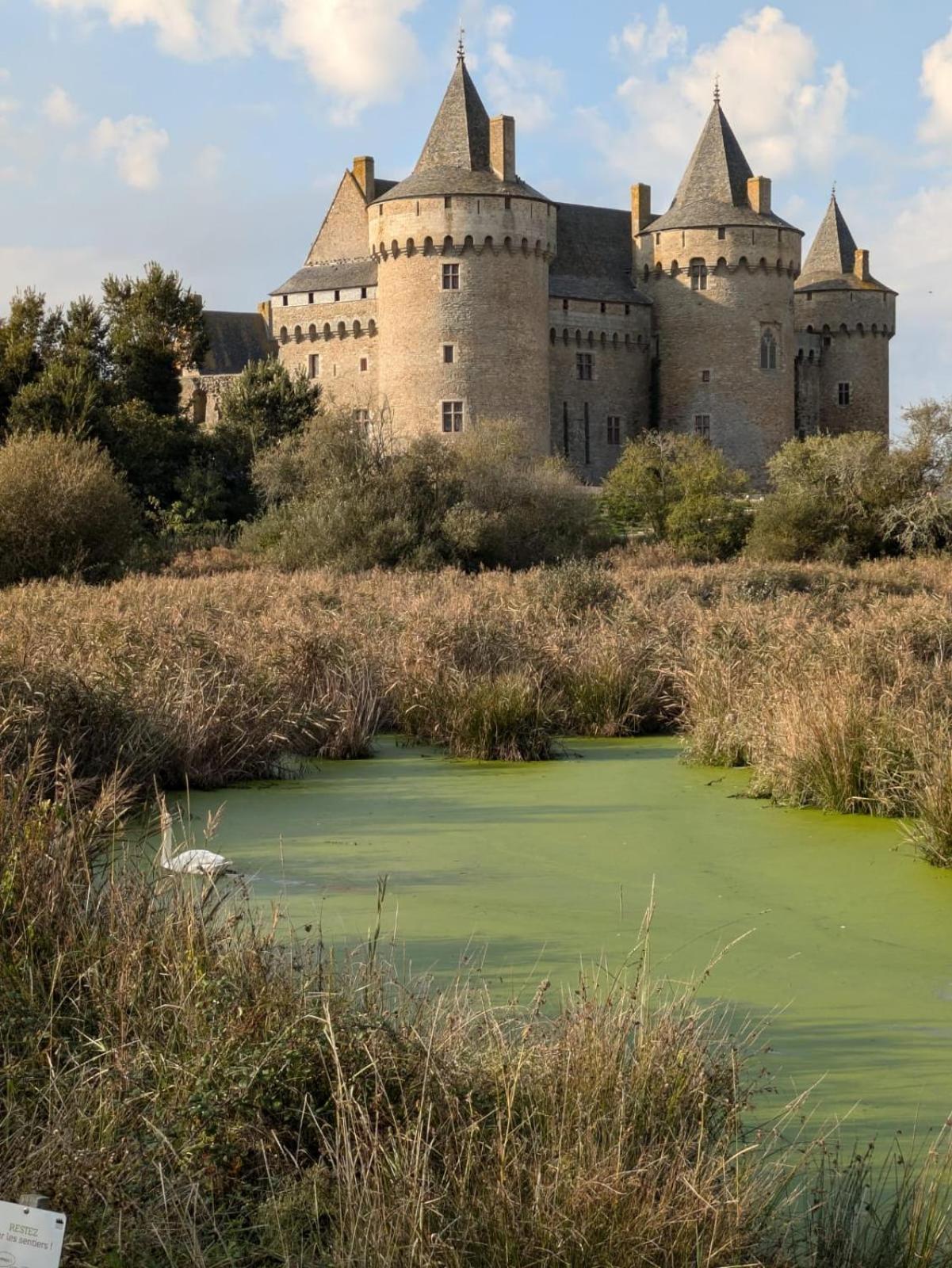 Maison de vacances à Sarzeau à 5 min de la plage à pieds Esterno foto